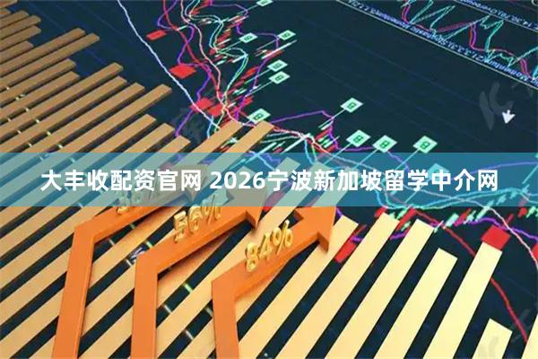 大丰收配资官网 2026宁波新加坡留学中介网